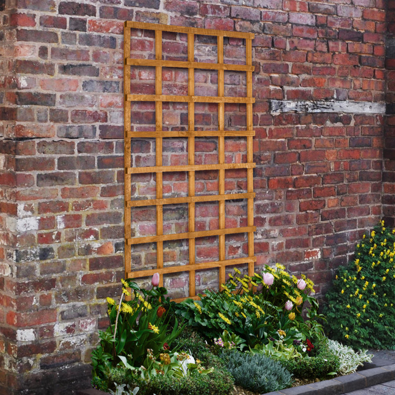 183cm H Wood Lattice Panel Trellis, 183cm H x 91cm W, Golden brown