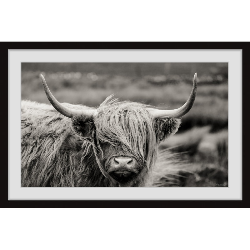 Hairy Face Cattle by Marmont Hill - Painting, 41cm H x 61cm W, Paper