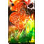 Reproduction d’art sur toile Butterfly-29334872