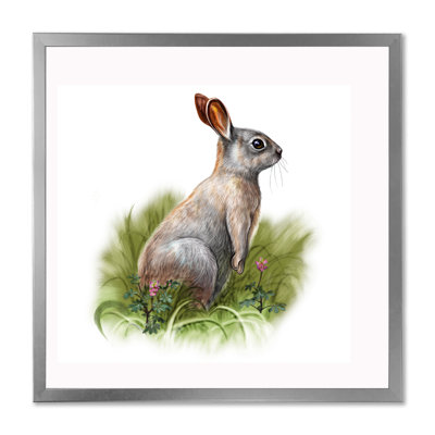 " Wild Rabbit In The Grass "