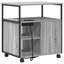 Storage Cabinet-1984504644