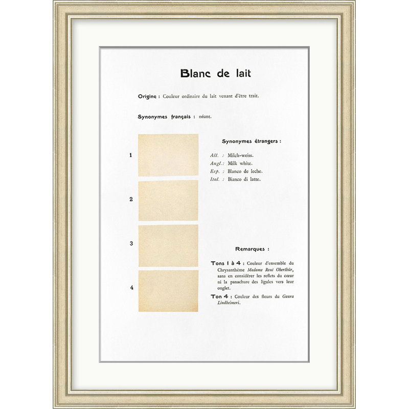 Neutral 16 Print by Danielle Rollins