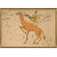 Camelopardalis Print by Grand Archives