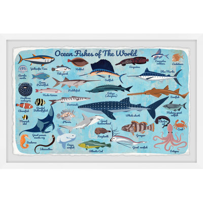 Paloma Deep Sea Fishes Framed Print
