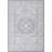 Oriental Indoor Rug-1676657661