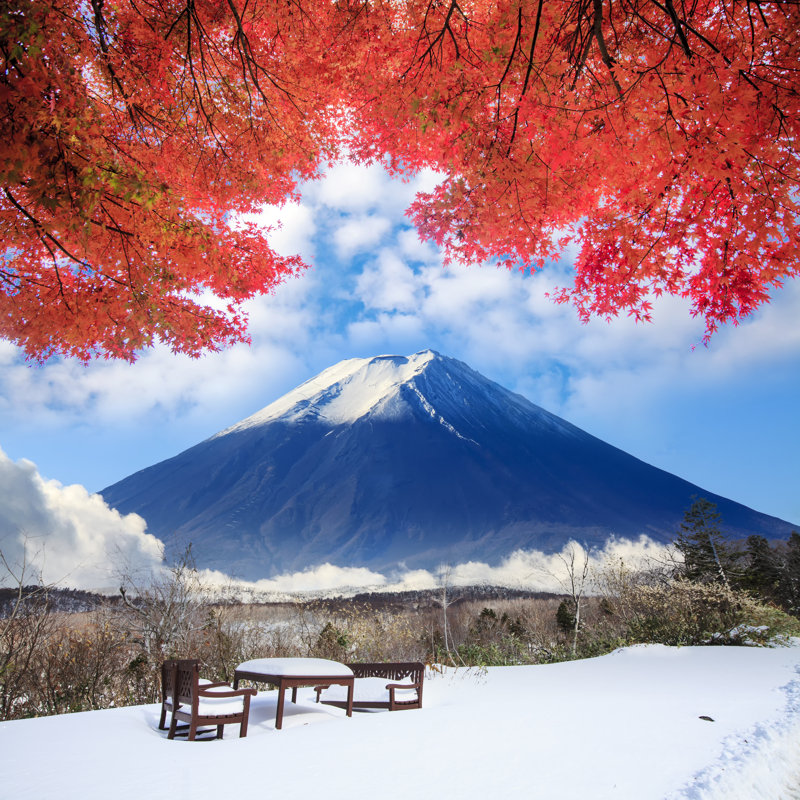 Fuji by Nicholashan - Wrapped Canvas Print, 122cm H x 122cm W