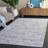 Flint 406 Performance Abstract Rug
