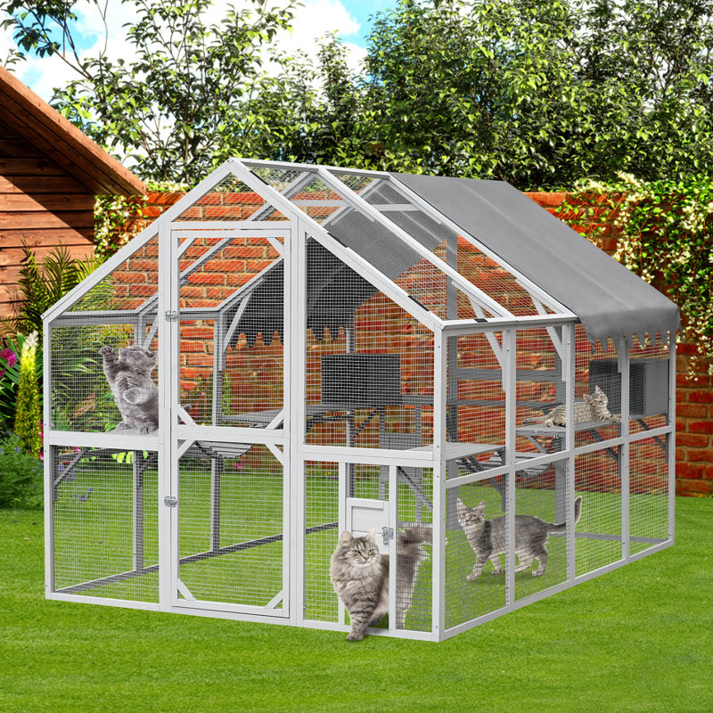 Enclos d'extérieur pour chat