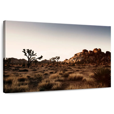 Nicci California Rock Formation