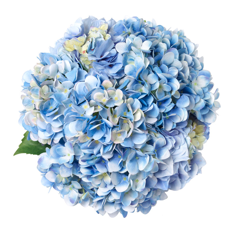 Hand-Tied Blue Hydrangea Bouquet