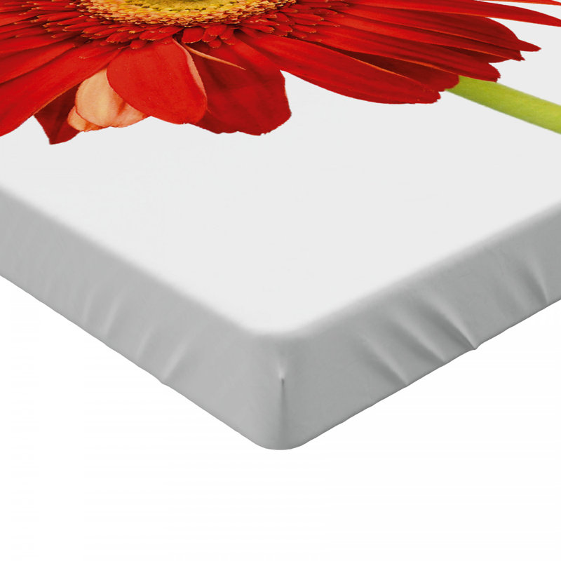 Microfiber Fitted Sheet, Twin XL Fitted Sheet