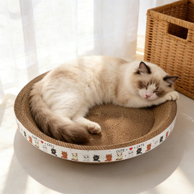 Multicolore planche à griffer et lit ondulé pour chat rond