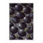  Tapis lavable à motif de fruits prune Damson-2059804116