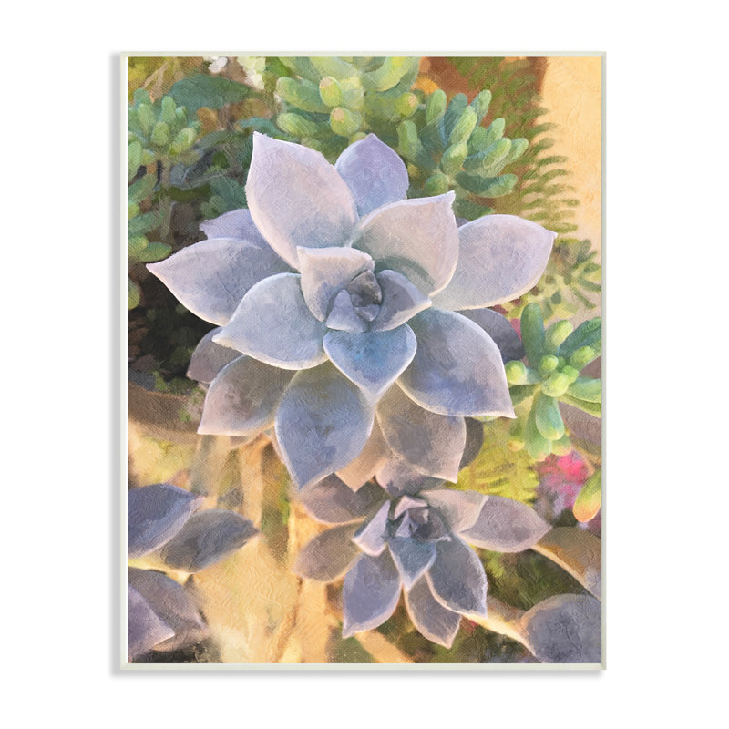 « succulent plante désert party », impression, H 15 po x l 10 po x P 0,5 po, Plaque murale