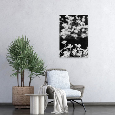 Close-Up Of Flowering Dogwood Flowers On Branches, Atlanta, Georgia, Usa Contemporary Flower Wall Art