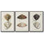 Ensemble de 3 toiles tendues avec châssis de qualité supérieure Antique Botanical Collection-97759879-97759877