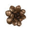 Laui Succulent Wall Art, Imperial Bronze