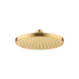 Rain Fixed Shower Head