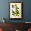 Olive Greenery VII, toile encadrée de qualité supérieure - prête à être accrochée-996906877