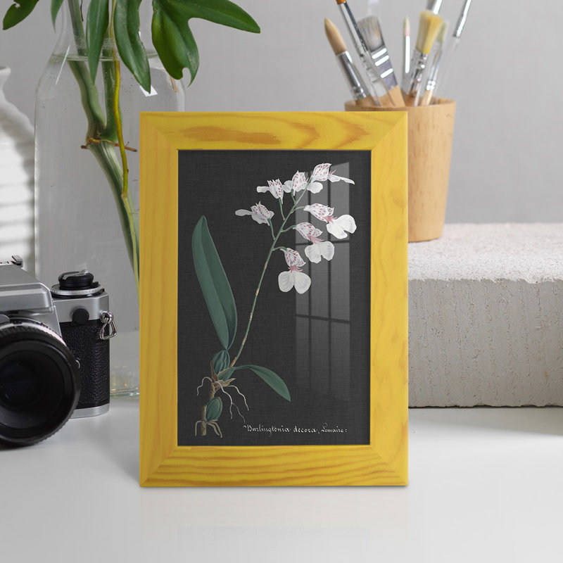 Orchidée sur ardoise VI - impression d'un seul cadre photo, H 6 po x l 4 po x P 1 po, Jaune