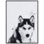 Husky sibérien - Cadre photo, impression sur verre