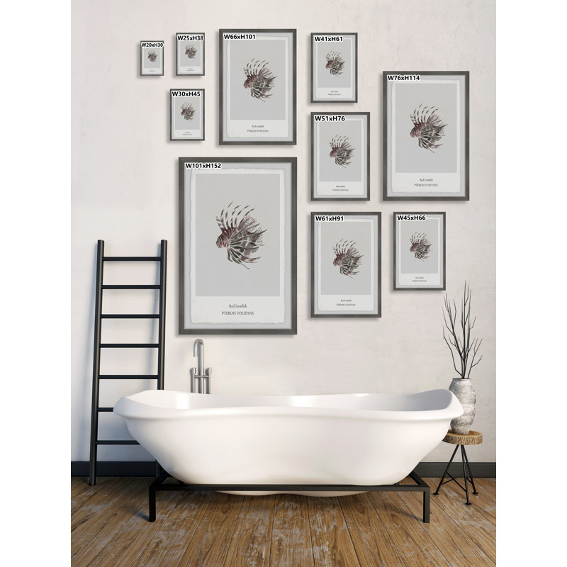 Red Lionfish - Single Picture Frame Print, 30cm H x 20cm W x 3.81cm D