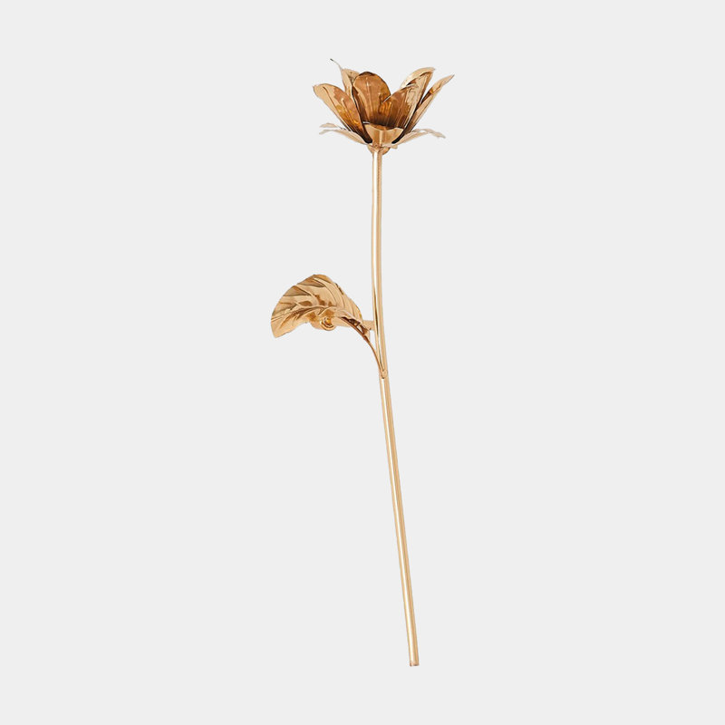 Plants & Flowers Dimensional Wall Art