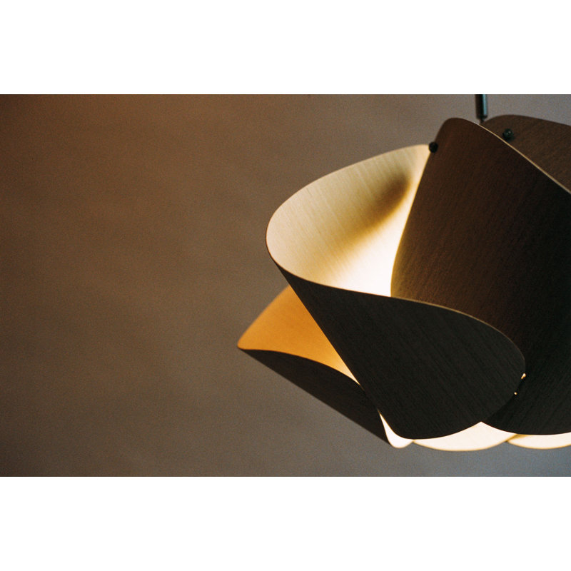 Luminaire suspendu Matilda, H 10,6 po x l 17,4 po x P 17,4 po, Ébène