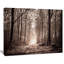 «Forest Trail in Sepia», reproduction de photo sur toile tendue-1534071856-1536404011