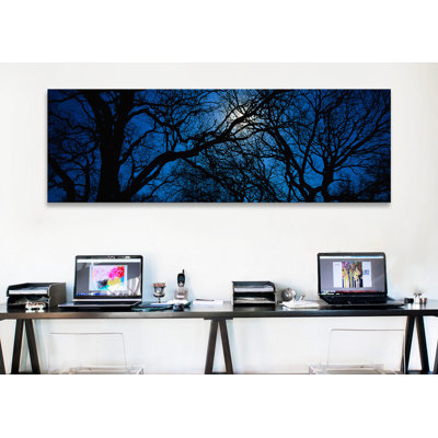 «Silhouette of Oak Trees, Texas», reproduction de photo sur toile tendue