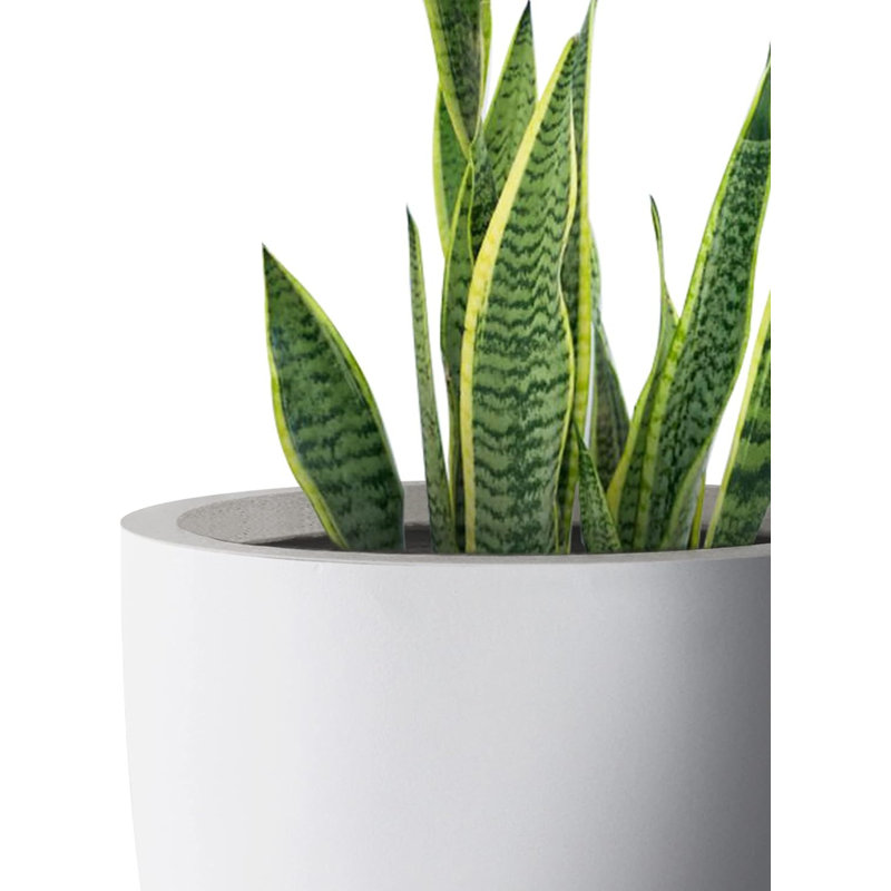  18inDia. Large Pure White Concrete Planter, Outdoor Indoor Modern Round Plant Pots, Lightweight, Heavy Duty, Weather Resistant, Seamless with Drainage Hole