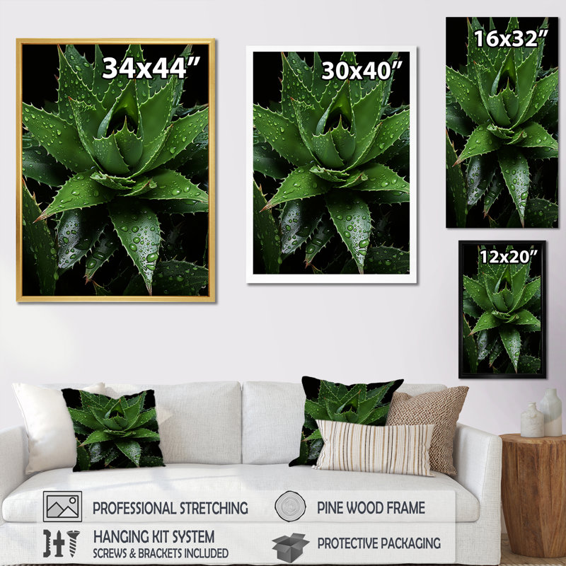 " Cactus Emerald Spikes ", 40" H x 30" W x 1.5" D, Black Floater Framed