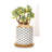 Kennetra Ceramic Pot Planter