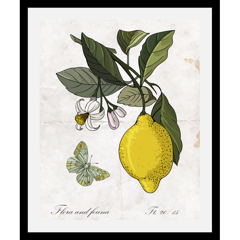 Enyo - Single Picture Frame Print, 70cm H x 50cm W
