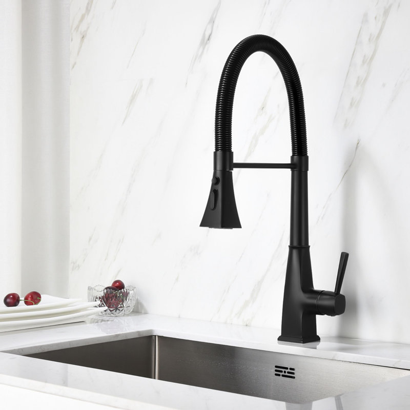 PENGFANG WORLDWIDE LLC Kitchen Faucet, Matte Black