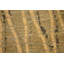 Dragnet Hand Woven Wool Striped Area Rug-10214121