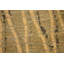 Dragnet Wool Striped Area Rug in Beige/Green-10214121