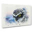 Owl In Nepal In Abstract - Wrapped Canvas Print-55310519