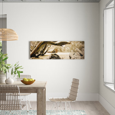 Andrew Brown - Print on Canvas