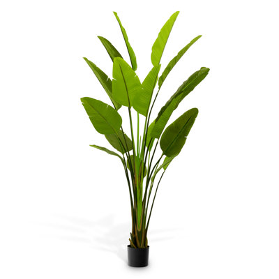Artificial Plant Strelitzia Green