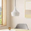 Schultz Single Light Metal Dimmable Pendant-805697415