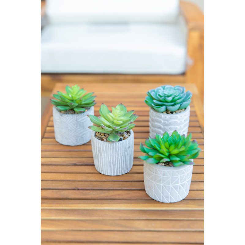 4.5'' Faux Succulent Plant in Cement Pot