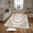 Luxurious Woven Area Rug, 5.9 x 9.2 ft, 100% Polyester, Antibacterial | Non-Slip PVC Felt Dot Underside, 0.3 in Pile Height | Machine Washable, 3D Digital Print, Perfect for Living Room & Bedroom Décor-2142084416