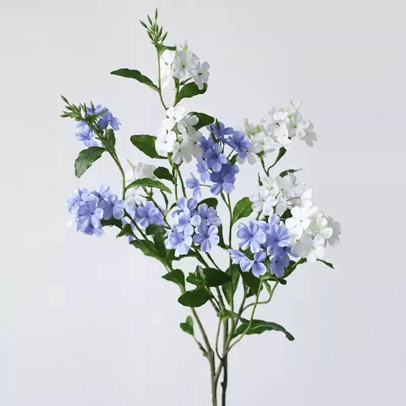 Garden Garden - 34 po, [D] 12 Stems, Powder Blue