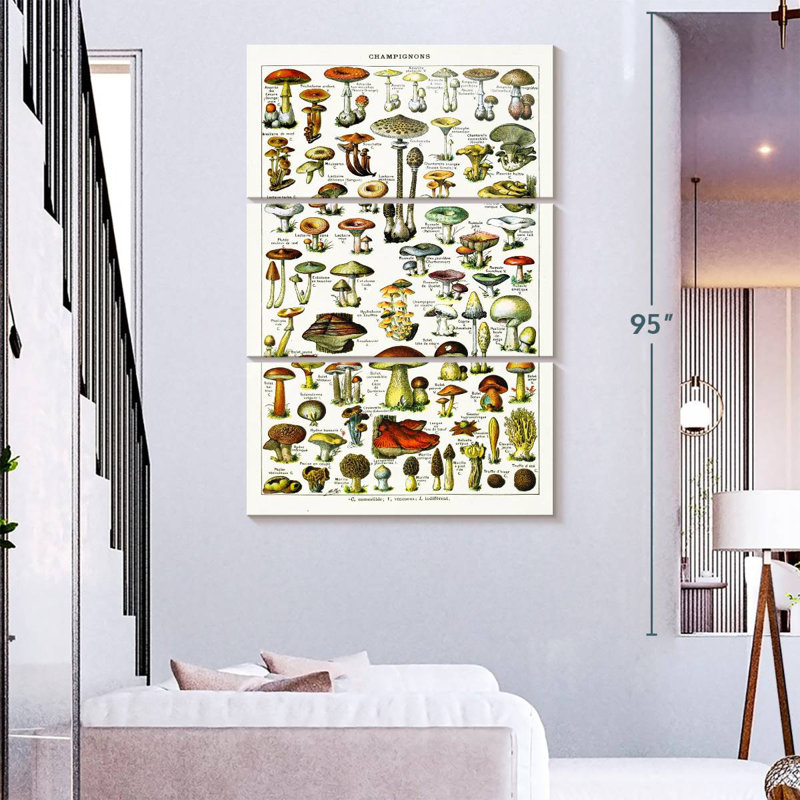 Yarlin Mushroom Varieties, 74" H x 48" W