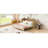 Full Size Murphy Bed With Large Drawers