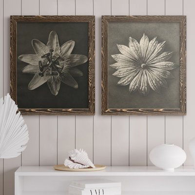 Toile encadrée Blossfeldt