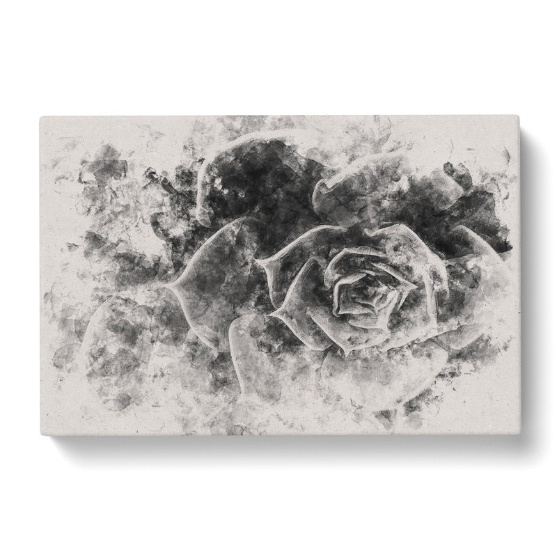Succulent Plant - Wrapped Canvas Print, 50cm H x 76cm W x 3cm D