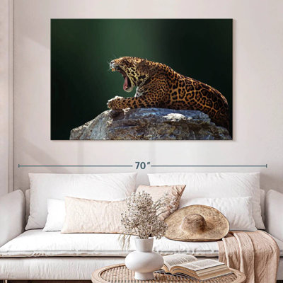 Brampt Feisty Jaguar