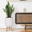 Honeycomb Style Egg Planter with Feet-57886062-57886037